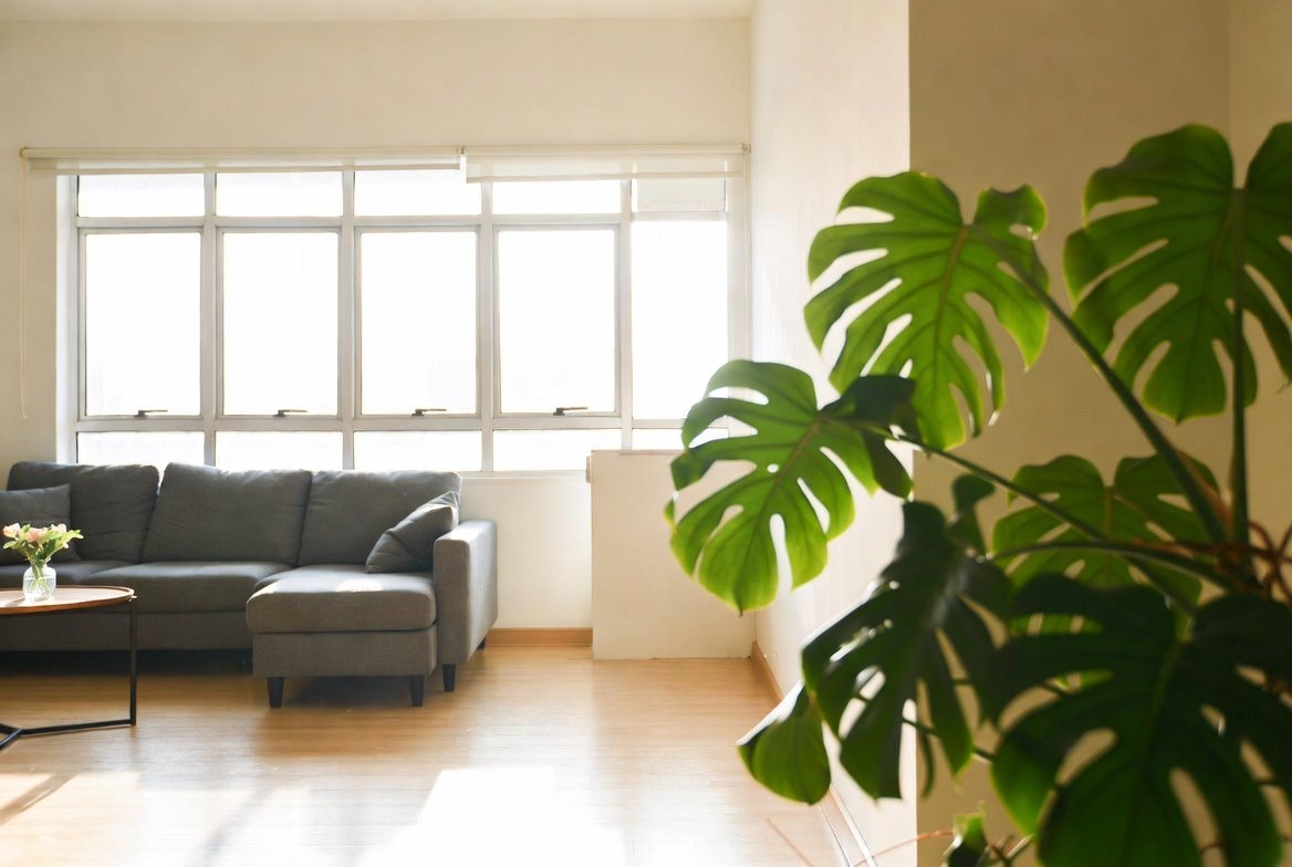 Bright, clean living room or cleaning in action